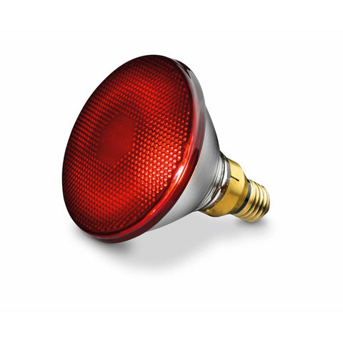 Accessories Infrared Lamps